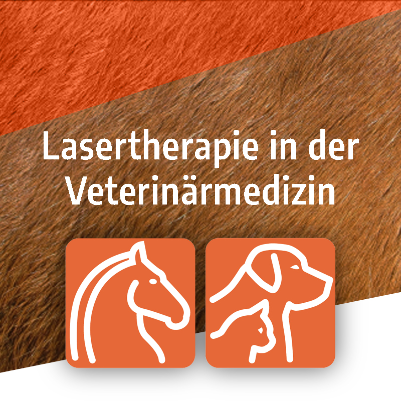 Gesamtpaket zertifizierte Online-Ausbildung Laser-Phototherapie