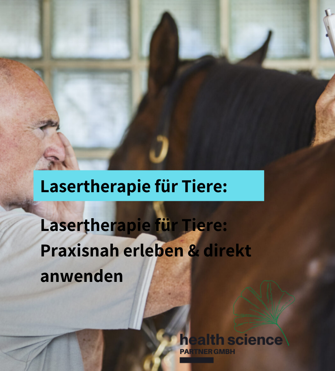 Lasertherapie für Tiere Seminar